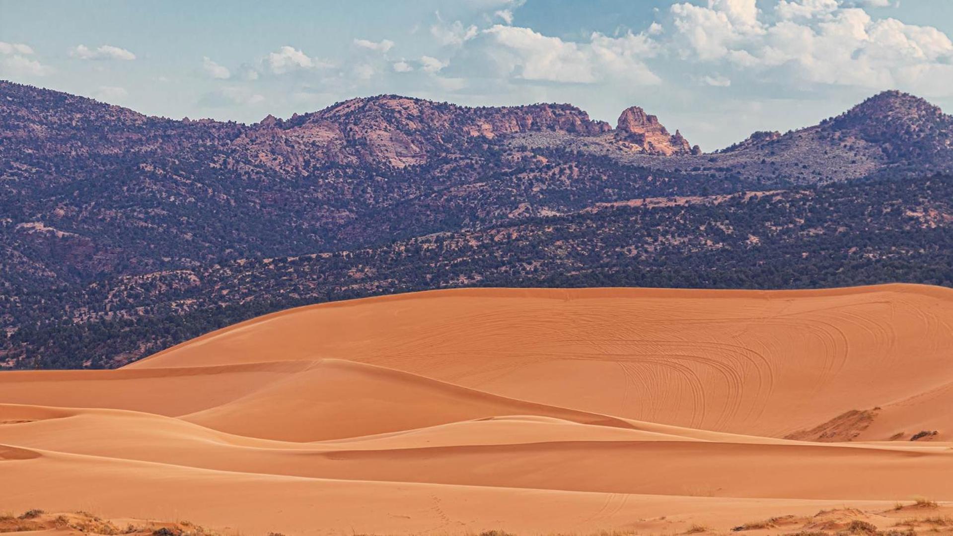 Southern Utah Hidden Gem Near Zion National Park Orderville Extérieur photo